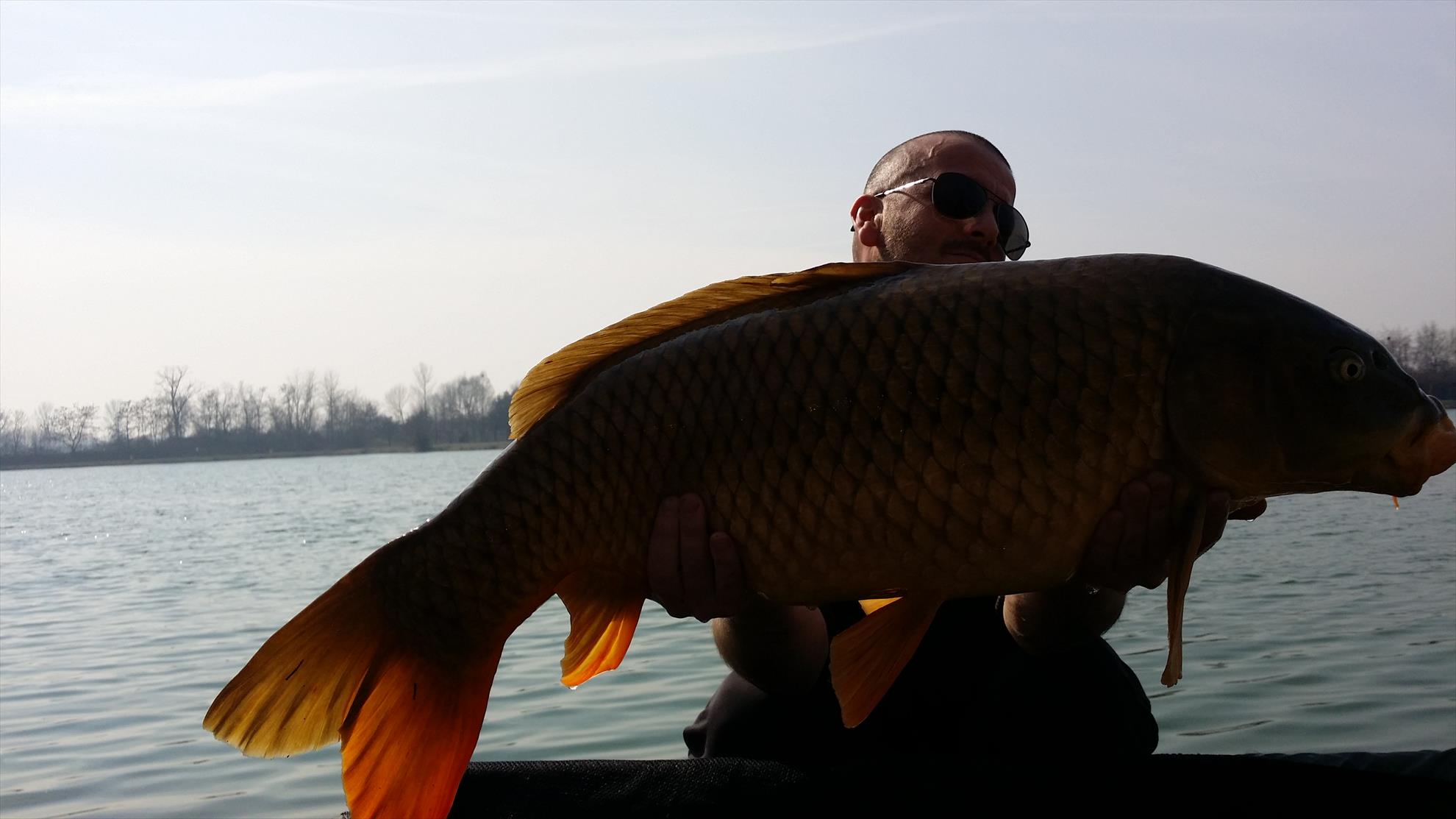 Isola 2015  - 20150311134242.jpg